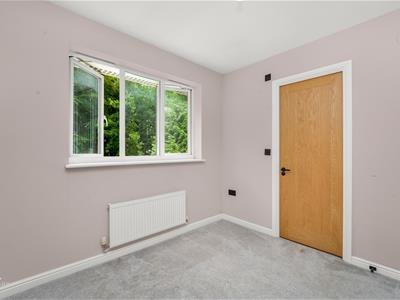 Picture 47